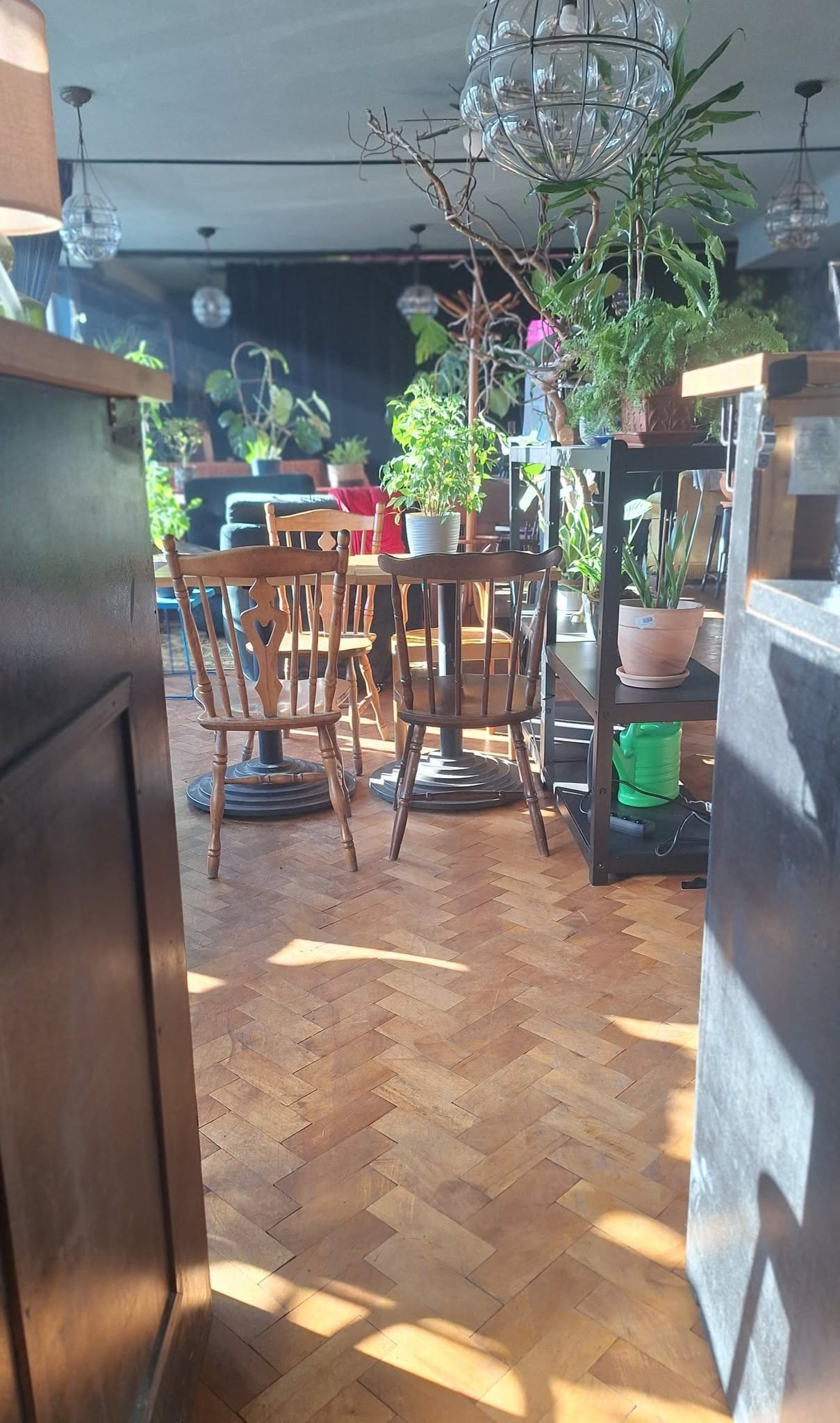 Parkiet w jodełkę i drewniane krzesła w słońcu